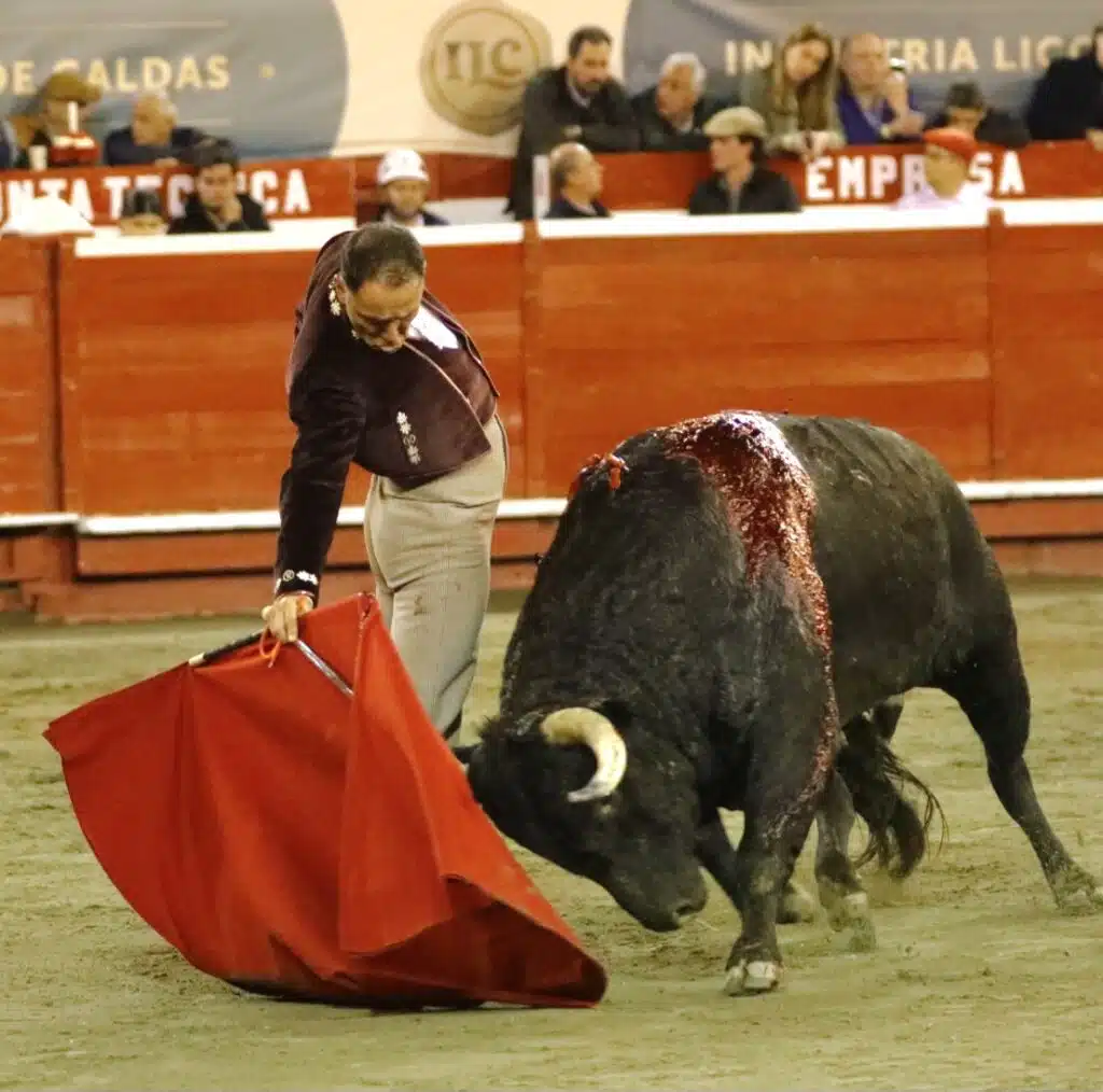 FESTIVAL DE MANSEDUMBRE EN MANIZALES.-