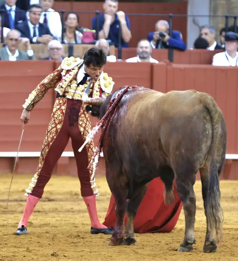 ROCA REY CORTA  UNA OREJA A UN MANSO ENCIERRO, HOY EN EL COSO SEVILLANO.