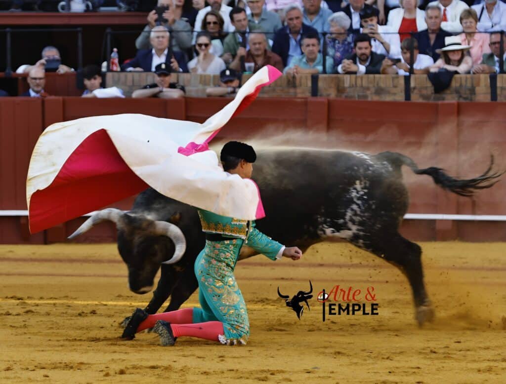 LA MIURADA SOLO PERMITIÓ UNA OREJA PARA ESCRIBANO, EN LA ÚLTIMA DE SEVILLA.