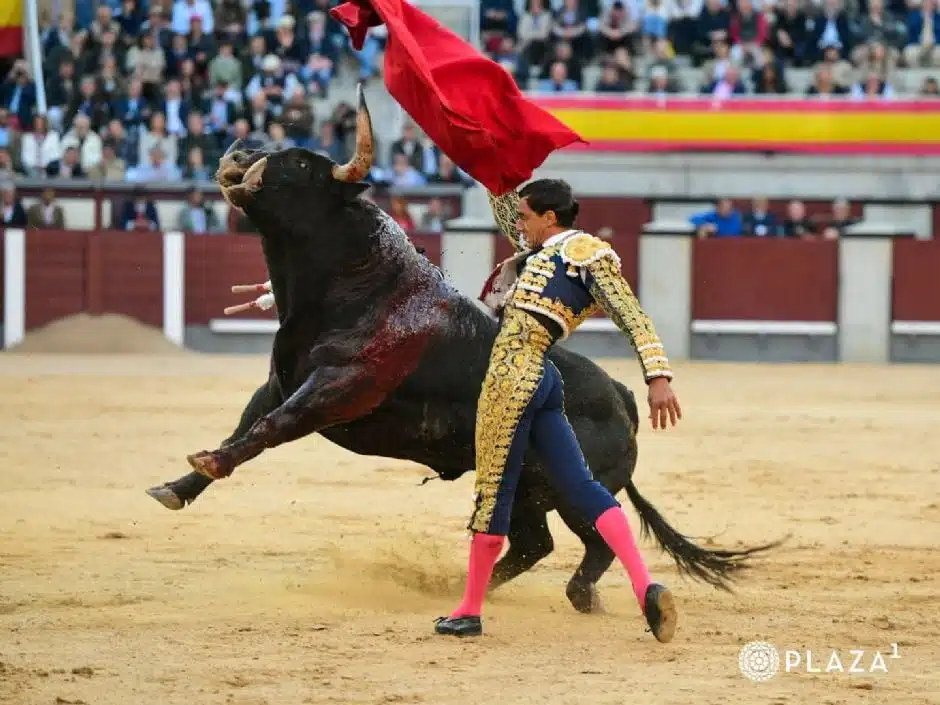 FUENTE YMBRO CON RAZA Y CASTA DESTACA EN MADRID ANTE UNA TERNA, QUE DEJÓ EN INCÓGNITA.