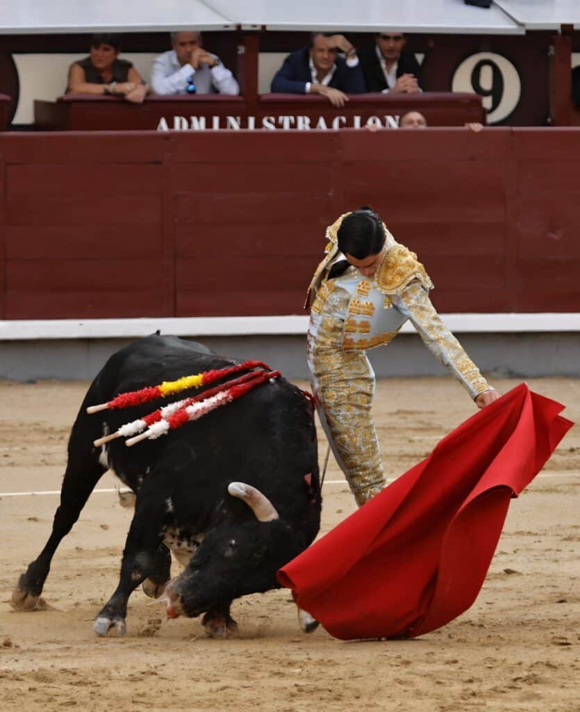 NOVILLADA CON ARISTAS Y MATICES EN MADRID!!